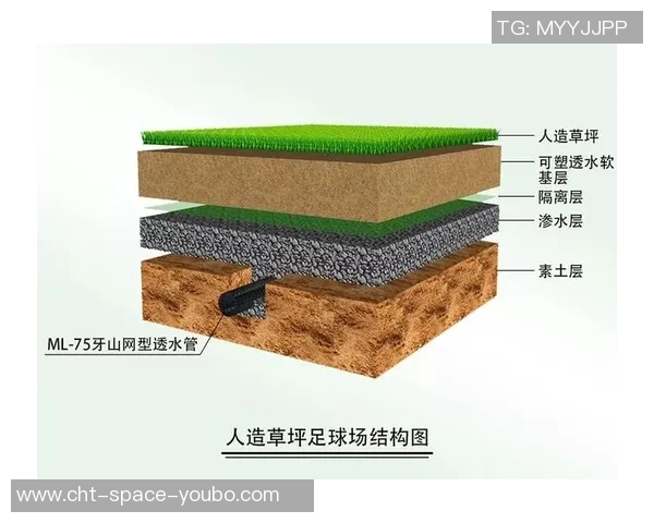 足球场草坪构造的科学分析与维护技巧探讨 足球场草坪构造的科学分析与维护技巧探讨